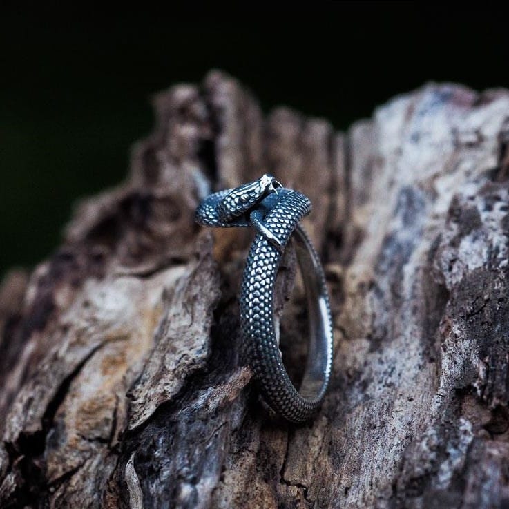 Uroboros ring shop
