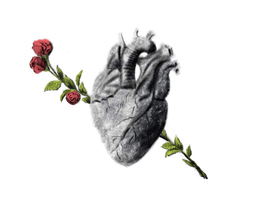 IL CUORE ANATOMICO: IL SIMBOLO E LA BELLEZZA - Feel No Pain