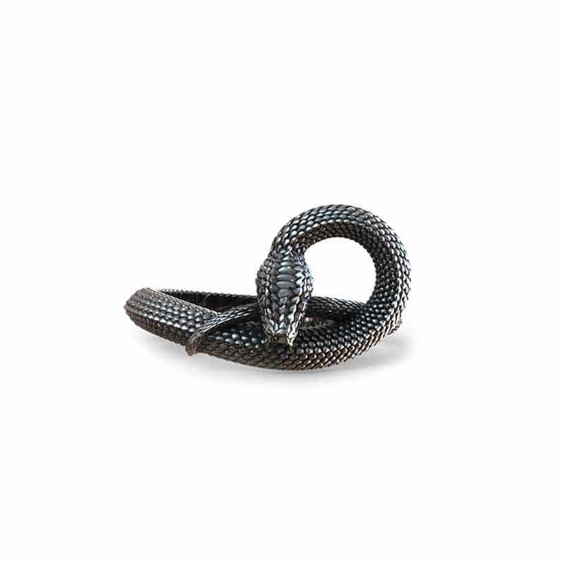 Anello serpente uroboro in argento 925 su sfondo bianco e vista frontale